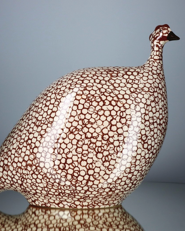 African Guinea Hen - Ivory Rust