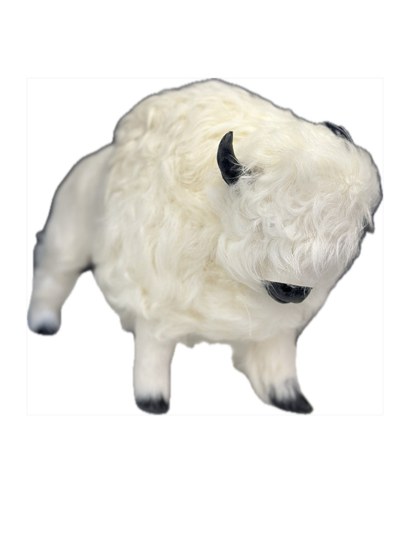 Small Buffalo
