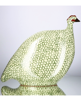 African Guinea Hen - Moss Ivory