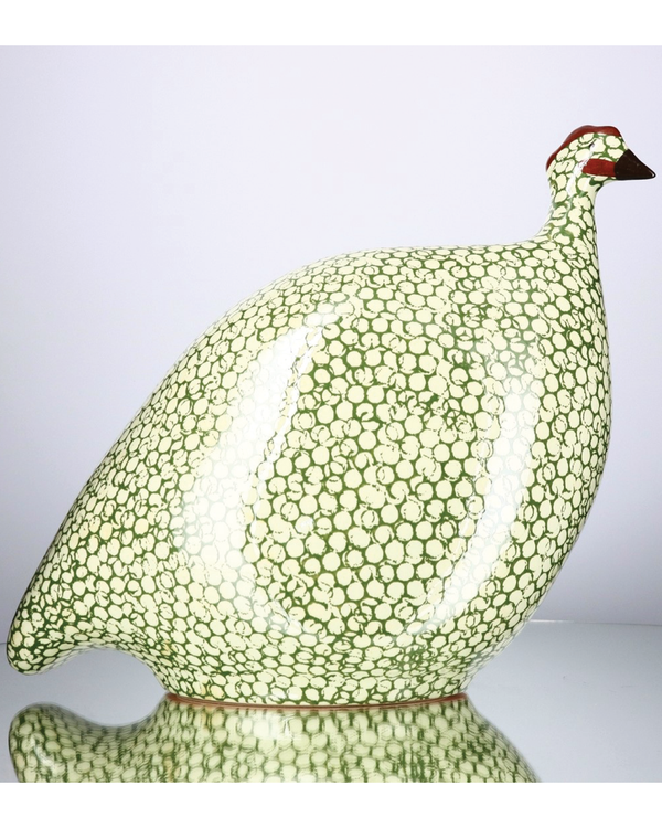 African Guinea Hen - Moss Ivory