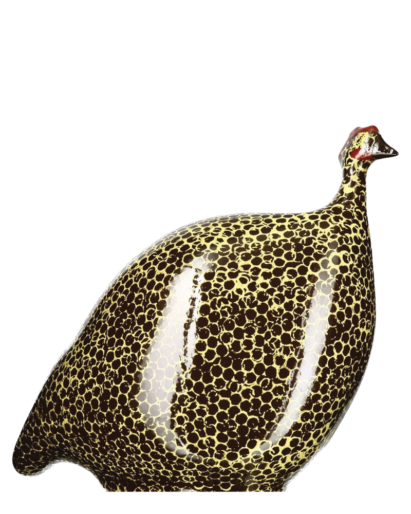 African Guinea Hen - Banana Brown