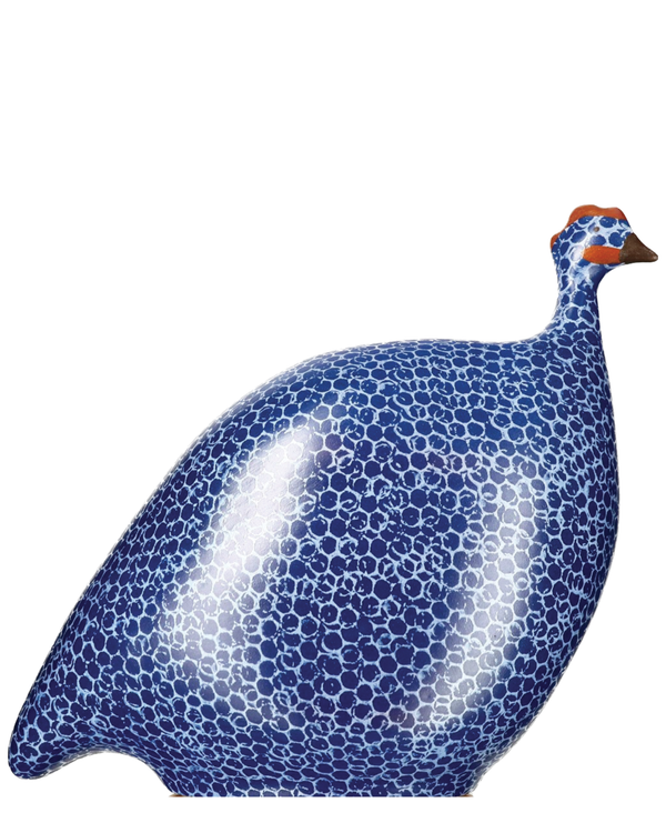 African Guinea Hen - Blue Abyss