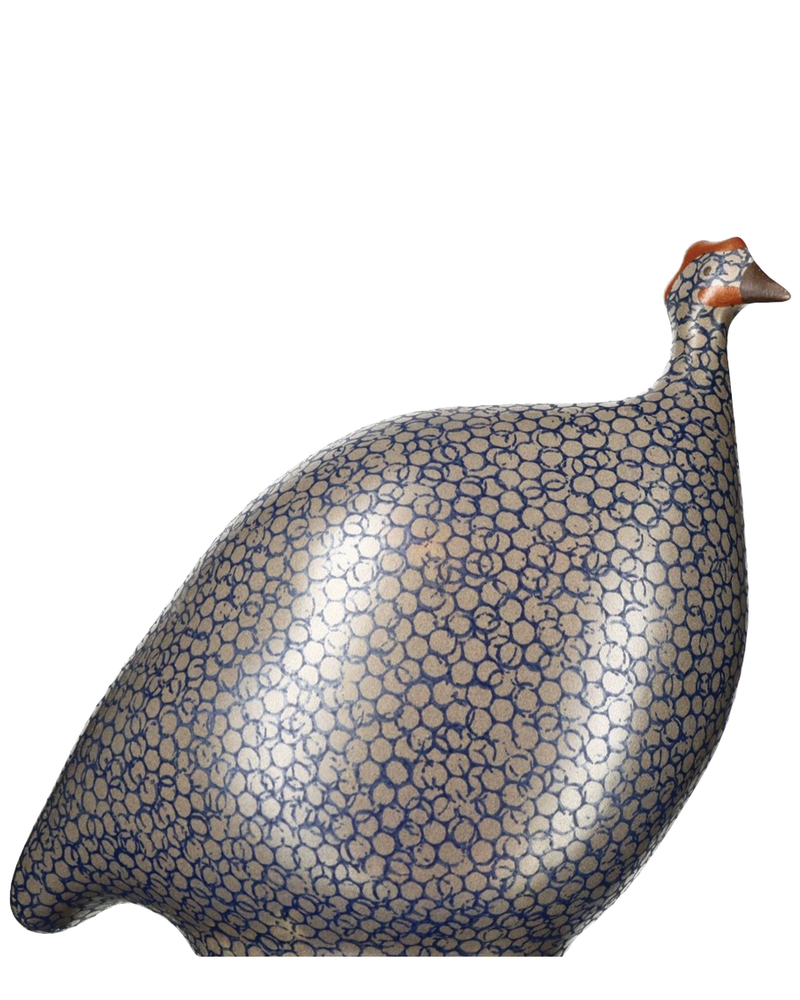 African Guinea Hen - Brown Blue