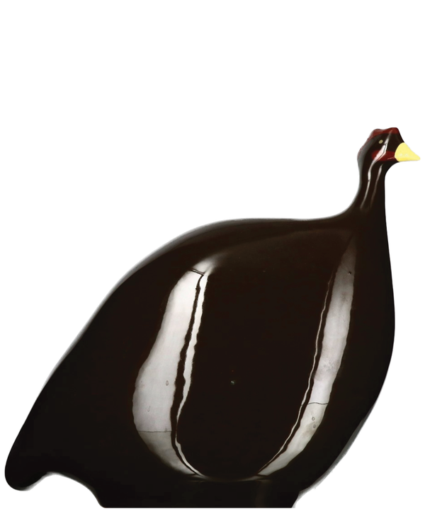 African Guinea Hen - Brown Black
