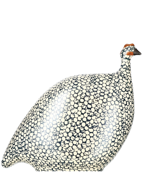 African Guinea Hen - Charcoal Sea