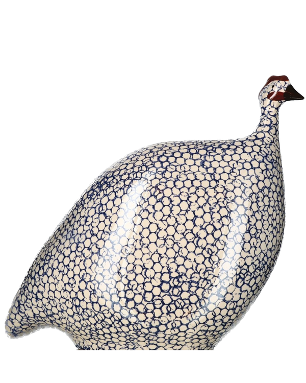 African Guinea Hen - Aegean Blue