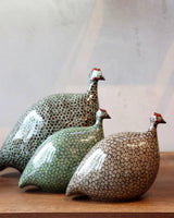 African Guinea Hen - Deep Teal