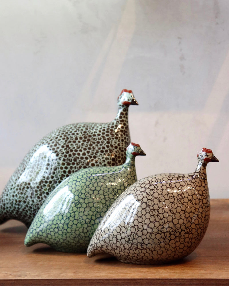 African Guinea Hen - Deep Teal