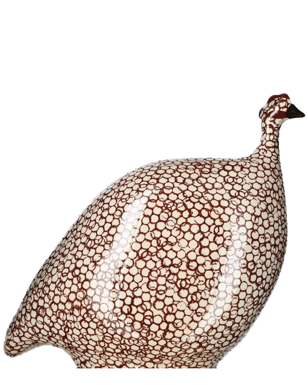 African Guinea Hen - Ivory Rust
