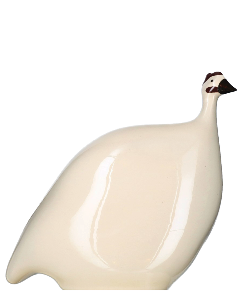 African Guinea Hen - Ivory