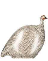 African Guinea Hen - Ivory Taupe