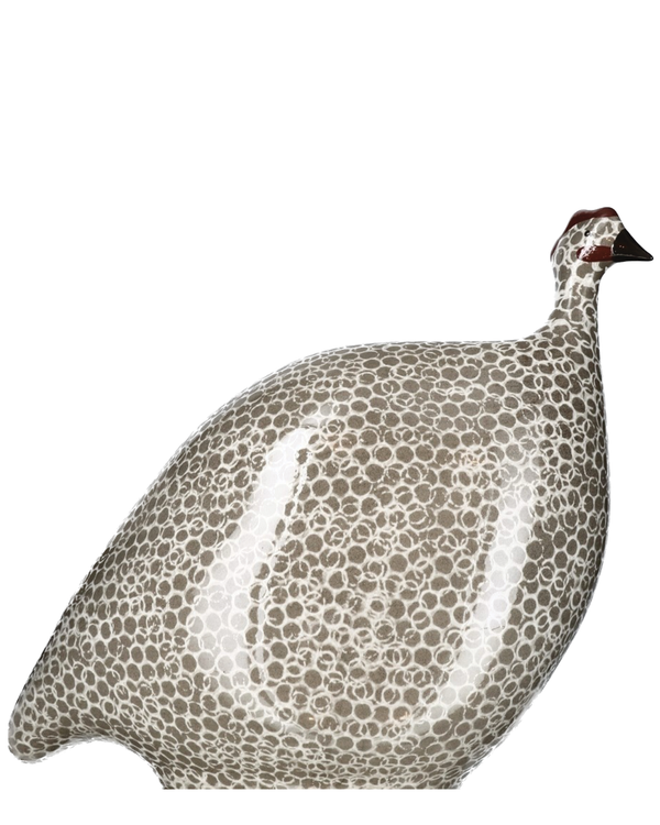 African Guinea Hen - Grey White