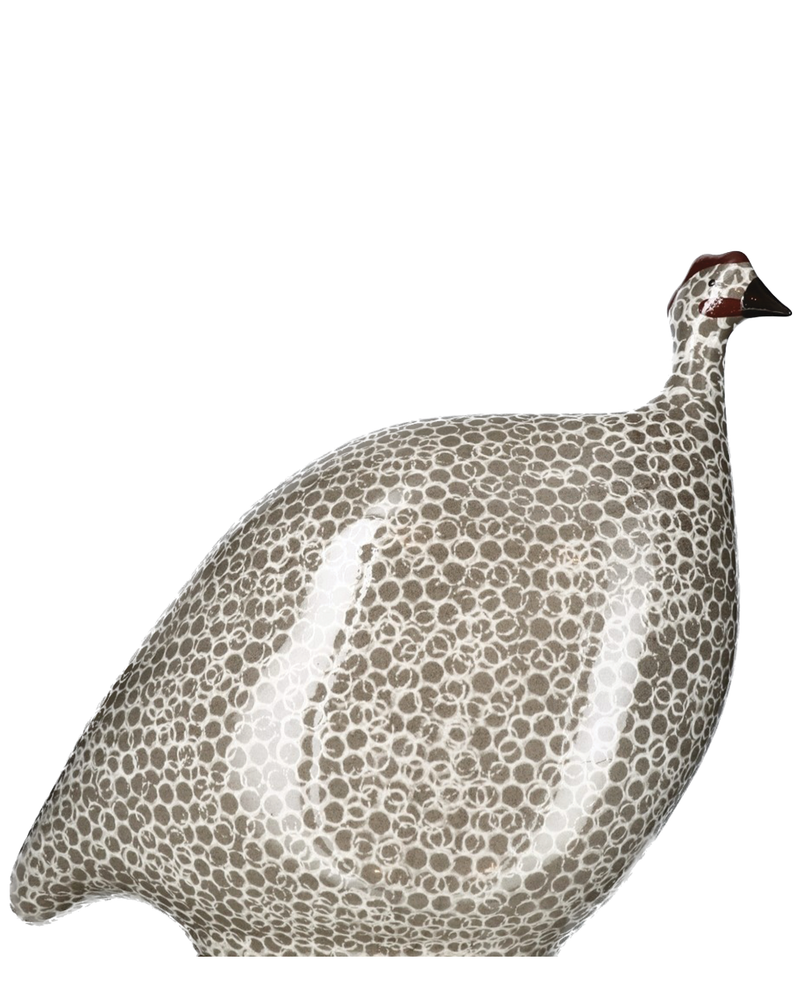 African Guinea Hen - Grey White