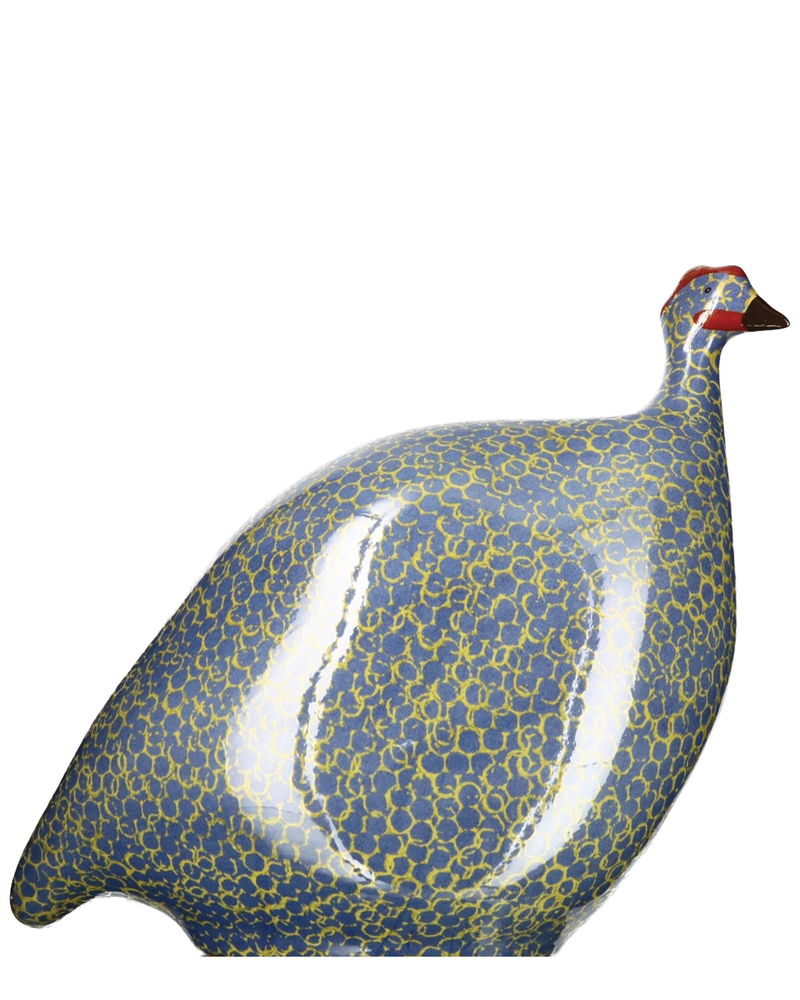 African Guinea Hen - Blue Lime