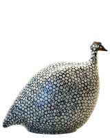 African Guinea Hen - Aegean Blue