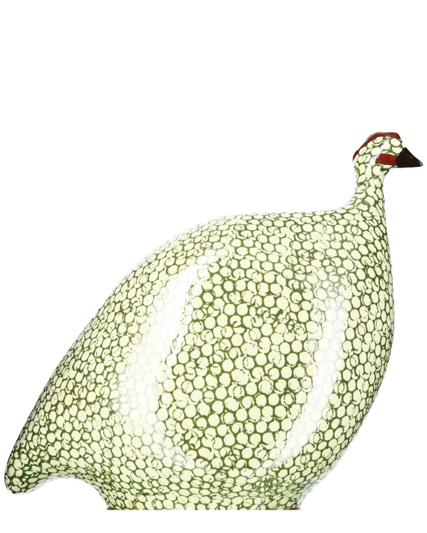 African Guinea Hen - Moss Ivory