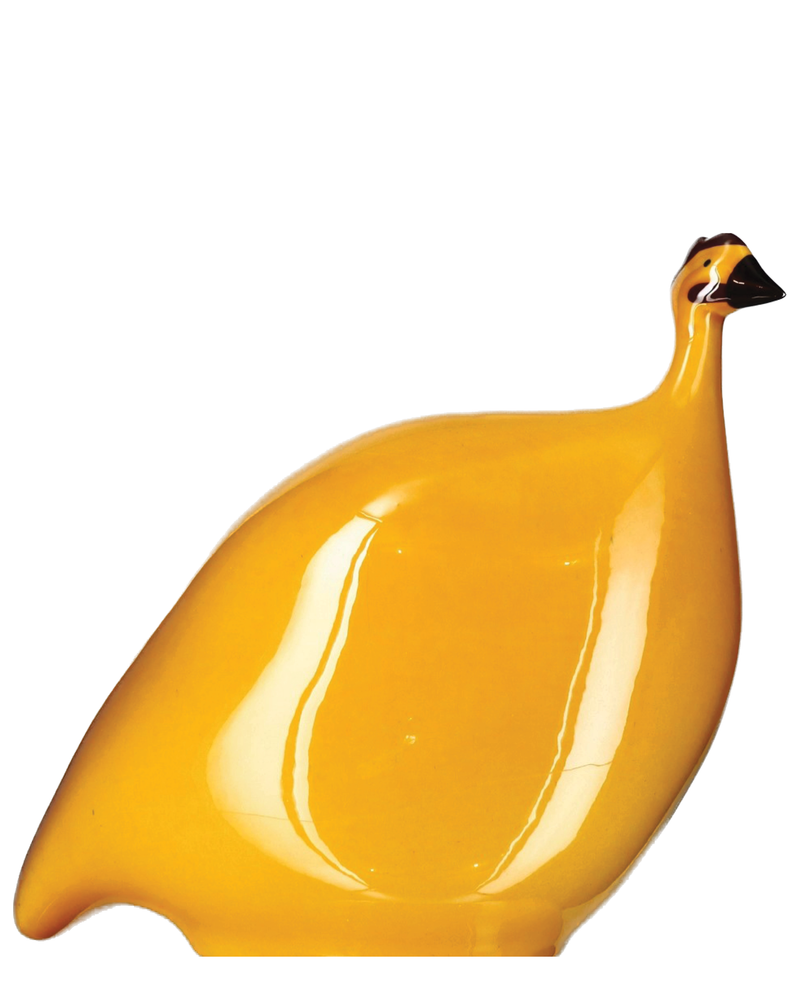 African Guinea Hen - Sunflower Yellow