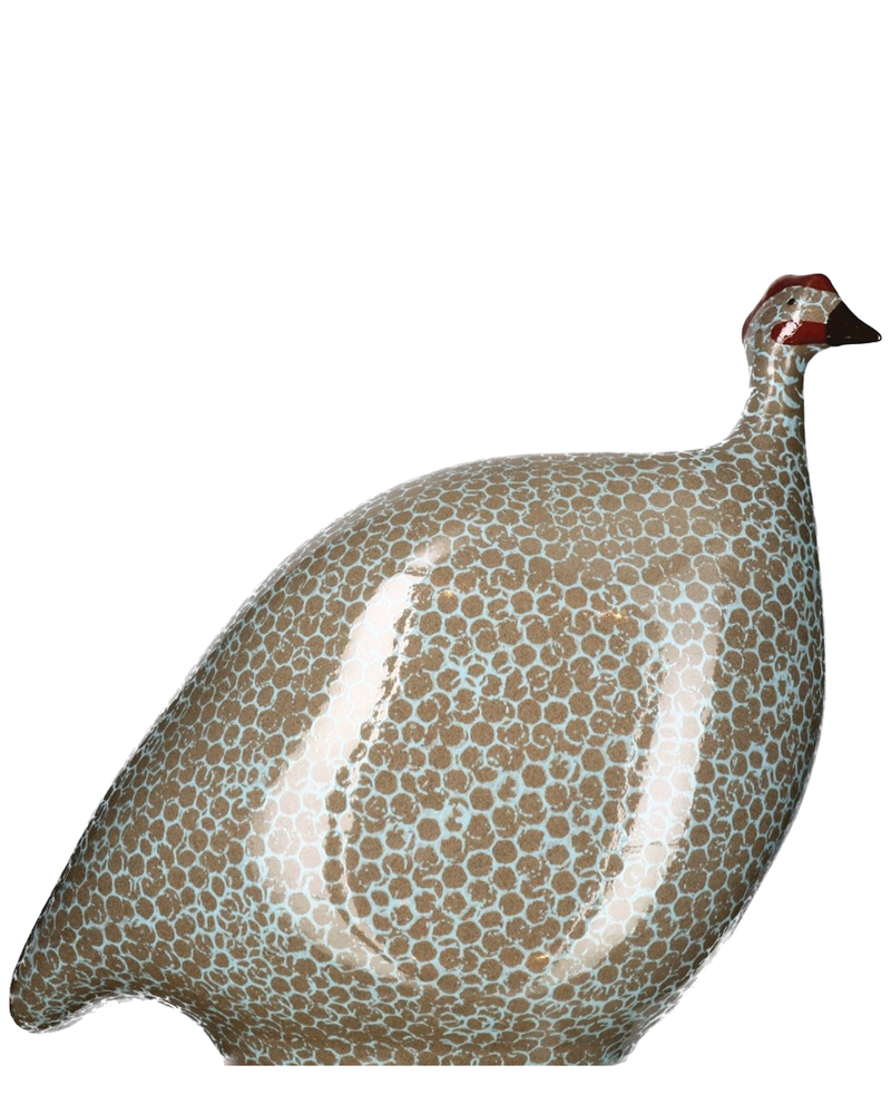 African Guinea Hen - Brown Turquoise