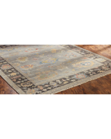 Adana Grey Flannel/Bark Transitional Rug