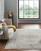 Canyons Zinc Transitional Rug