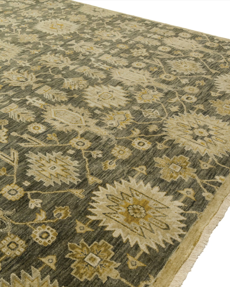 Delano Graphite Transitional Rug