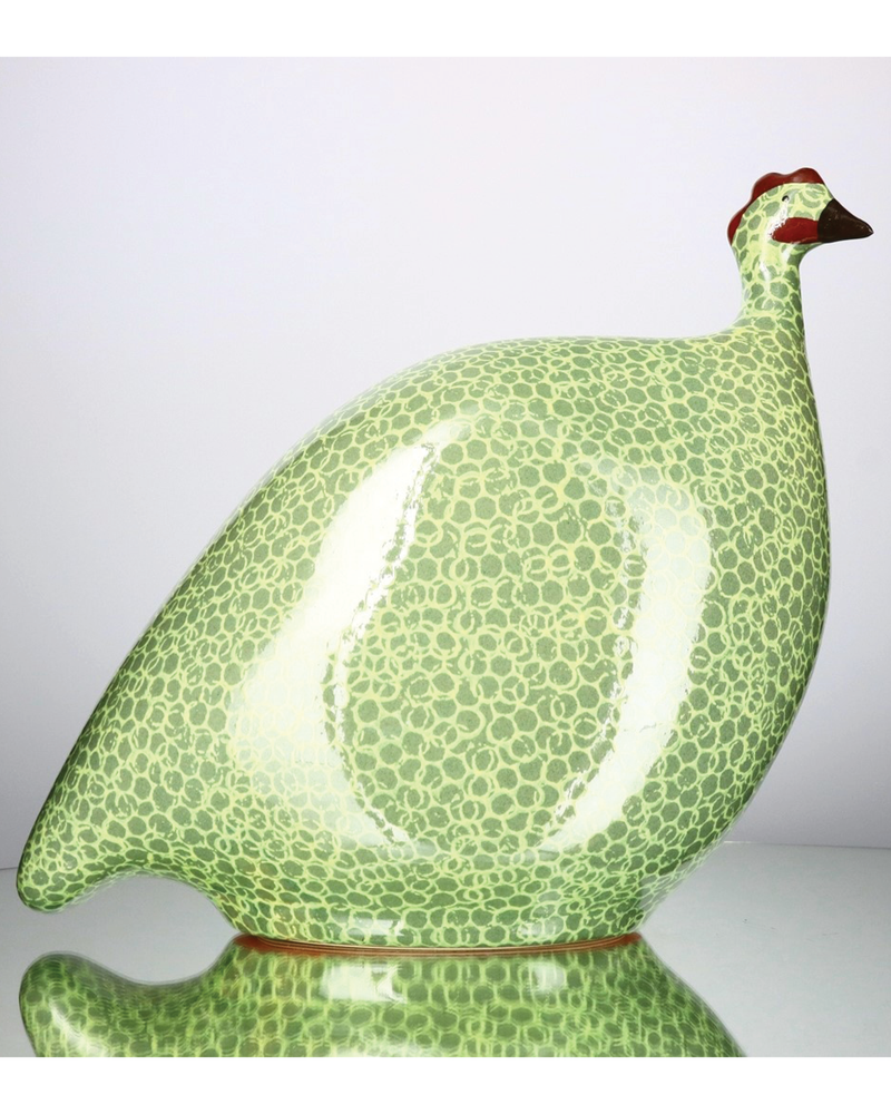 African Guinea Hen - Key Lime